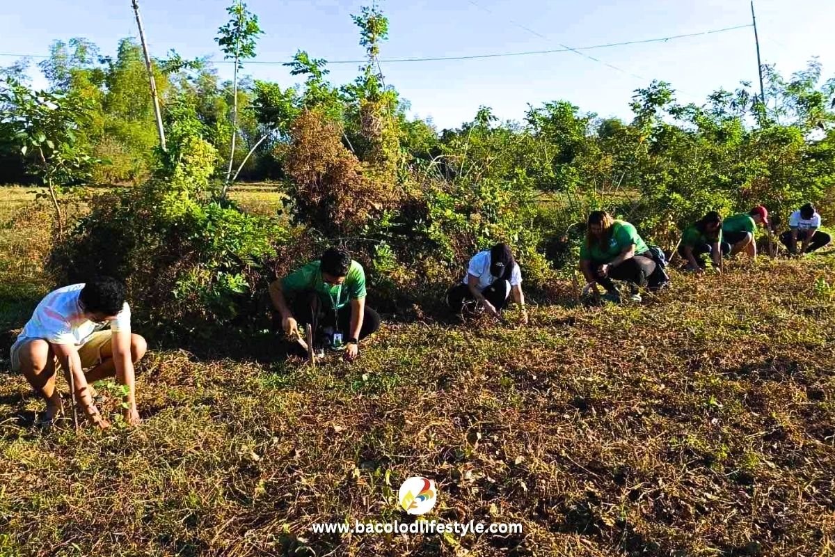 Negros Power together with the Bureau of Fire Protection in a Tree-Planting Drive